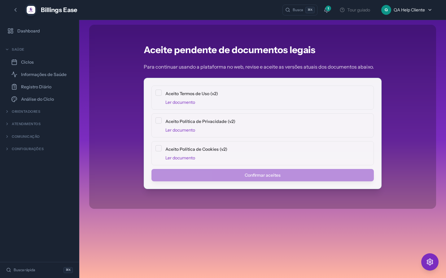 Visão geral do dashboard da cliente